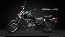 SUZUKI INTRUDER brown