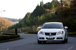 SUZUKI KIZASHI brown