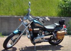 SUZUKI SAVAGE brown