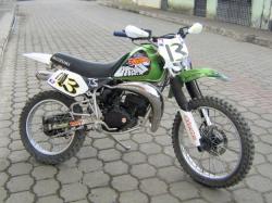 suzuki ts 125