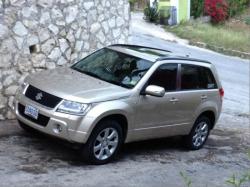 SUZUKI VITARA brown