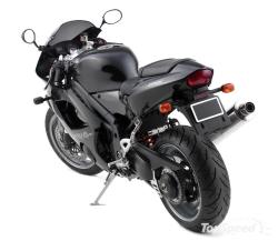 triumph daytona 955i