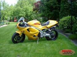 TRIUMPH DAYTONA T595 brown