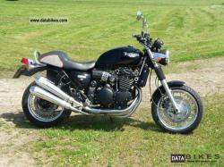 TRIUMPH SPEEDMASTER 900 brown