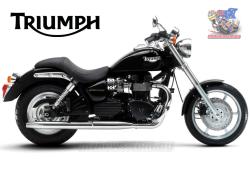 TRIUMPH SPEEDMASTER black