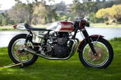 TRIUMPH SPRINT 900 brown