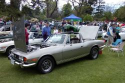 TRIUMPH STAG silver