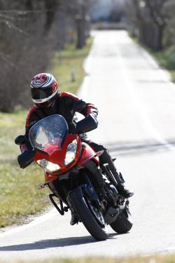 TRIUMPH TIGER 1050 brown