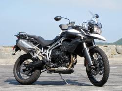 TRIUMPH TIGER NEW brown