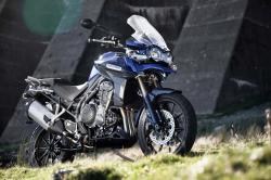 triumph tiger new