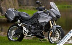 triumph tiger new