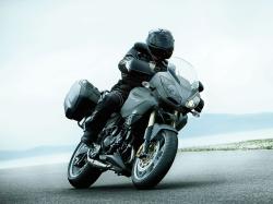 triumph tiger new