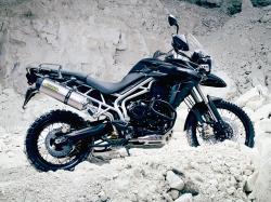 triumph tiger