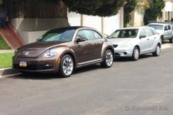 VOLKSWAGEN BEETLE brown