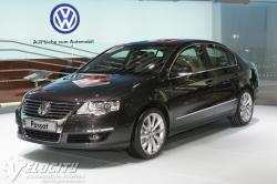 VOLKSWAGEN PASSAT brown