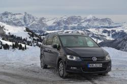 VOLKSWAGEN SHARAN brown