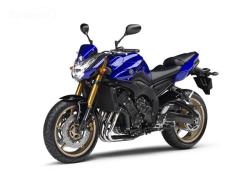 YAMAHA FZ1 ABS brown