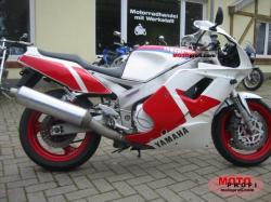 YAMAHA FZR 1000 brown