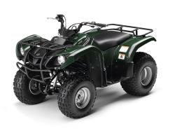 yamaha grizzly 125