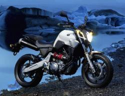 YAMAHA MT-03 green