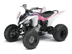 YAMAHA RAPTOR 250 brown