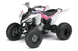 yamaha raptor 250