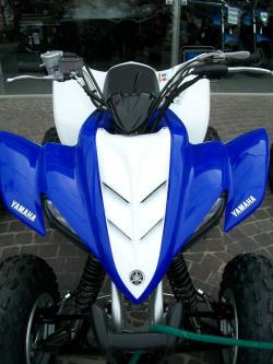 YAMAHA RAPTOR brown