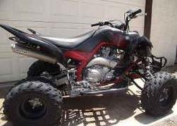 YAMAHA RAPTOR brown