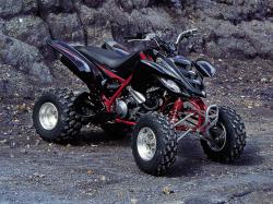 yamaha raptor