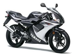 YAMAHA TZR50 brown