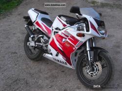 YAMAHA TZR brown