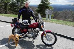 YAMAHA VIRAGO red