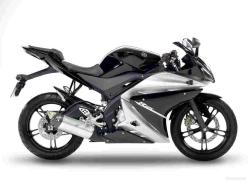 YAMAHA YZF-R125 silver